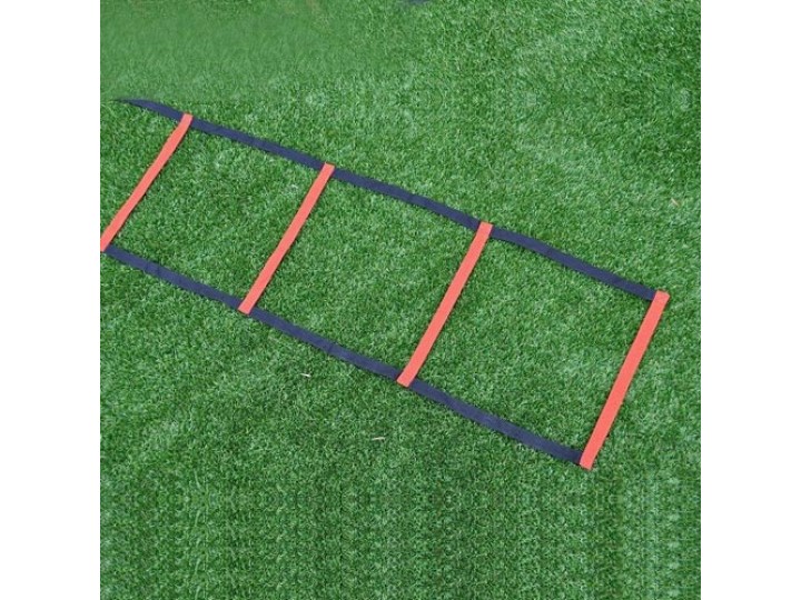 Economical Agility Ladder-PEL-4